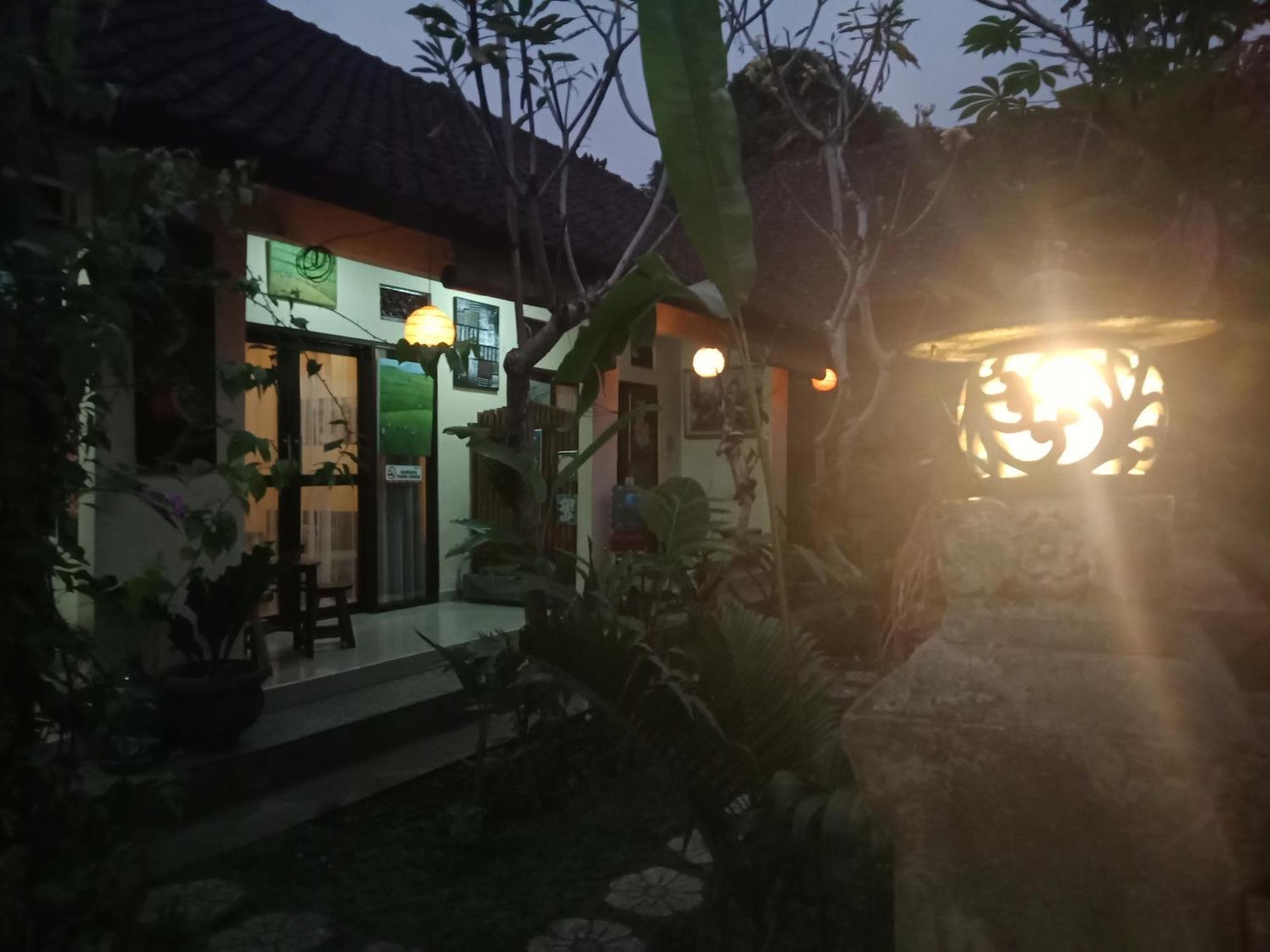 ウブド Lionk Bali House Bed & Breakfast エクステリア 写真