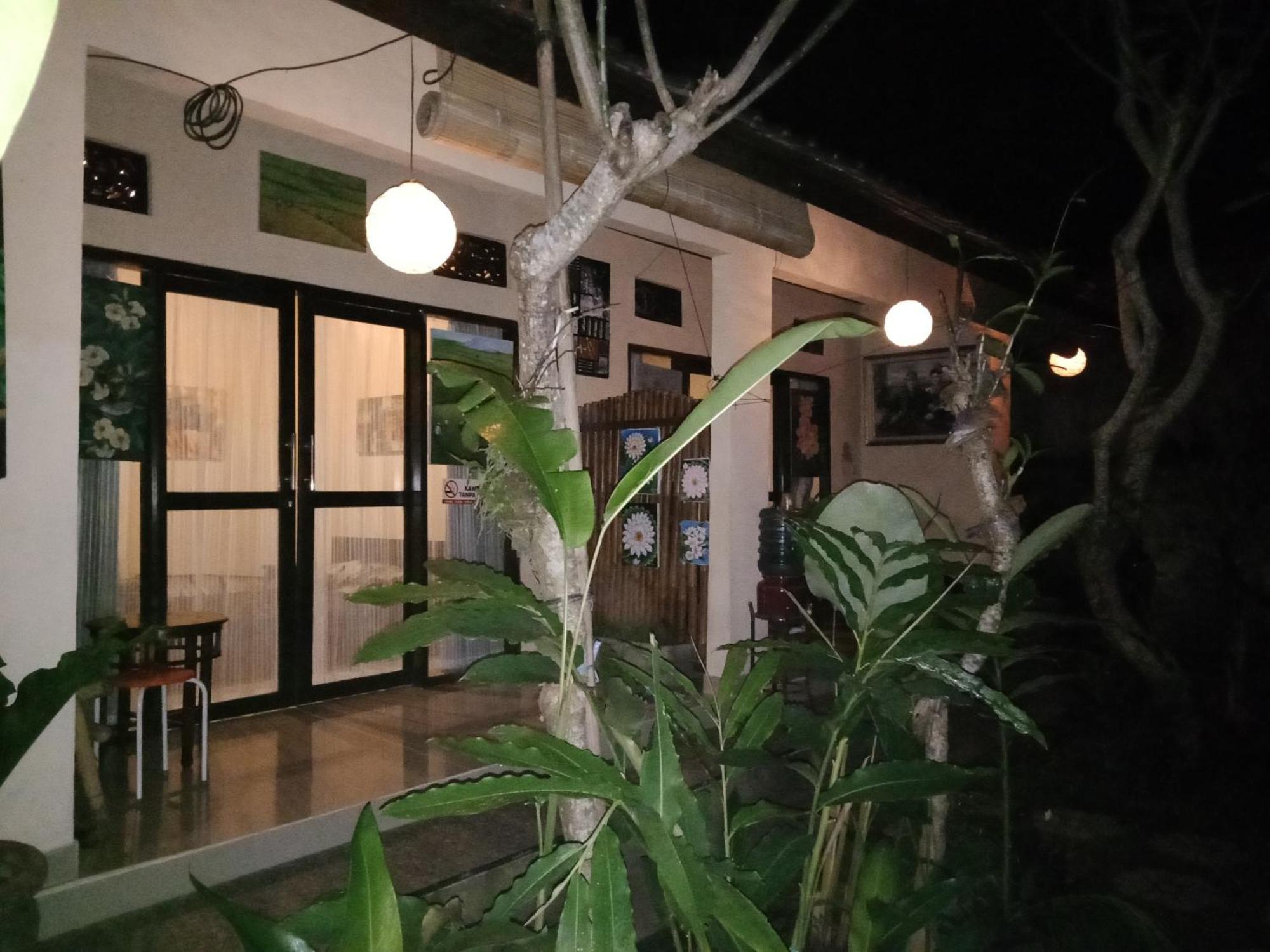 ウブド Lionk Bali House Bed & Breakfast エクステリア 写真