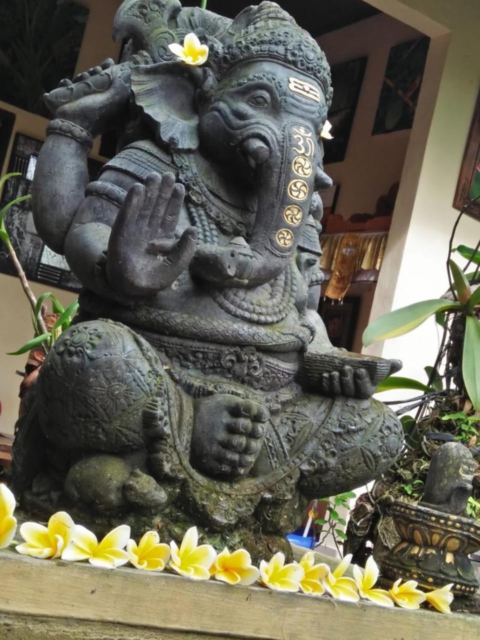 ウブド Lionk Bali House Bed & Breakfast エクステリア 写真